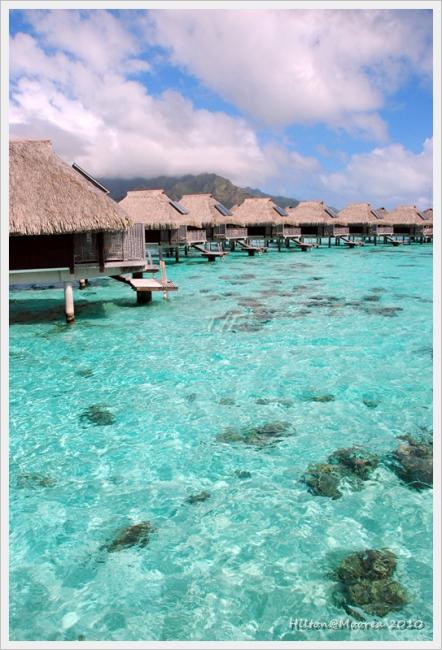 Moorea022.JPG